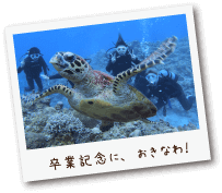 卒業記念に、おきなわ!